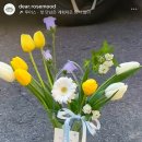 보문로즈 이미지