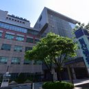 일산 티스토리