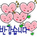 놀밥
