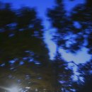함박산중앙공원(실개천) 네이버블로그