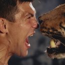 유어스핏 이미지