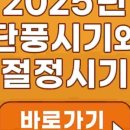 가야산 관광펜션 | 가야산 단풍 시기 현황 등산 코스 2025 진짜 예쁜 곳은 따로 있다! 현지인이 알려줌