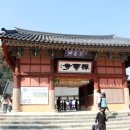 선운사 - 전북고창여행