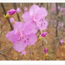 화랑대역 2번출구 이미지