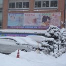 옥정초등학교 이미지