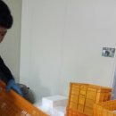 원애농장 | [무주 유기농 블루베리농장] 블루베리 농장 체험&amp;구입후기~♥