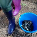 씨네마펜션 이미지