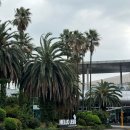 유기농일번지 | 3월 일상 : 퇴사 후 매일 노는 하루 엄마와 제주도 여행, 롯데월드