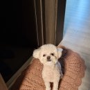 구자동 동물병원 이미지