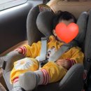 제주조우아 조수 이미지