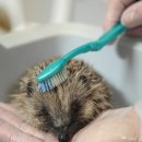 더가까운약국 이미지