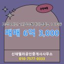 뛰는 부동산 공인중개사사무소 네이버블로그