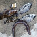 낚시인쉼터 이미지