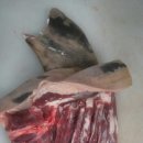 알콩달콩 흑염소 이미지