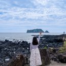 법환야외공연장 공용화장실 | 서귀포 법환포구 제주도 스노쿨링 명소에서 만난 제주 돌고래 쇼