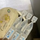 러블리스 이미지