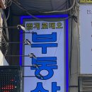 로데오공인중개사 사무소 이미지