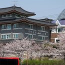 부여문화원 이미지