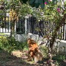 아영팜 | 안녕하십니까