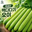오이가 이렇게 좋은것인줄 몰랐습니다 이미지