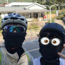 남이섬ND209펜션 이미지