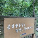 계족산 황톳길 이미지