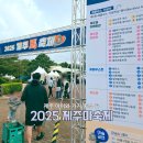 제주의 제주마 | [제주 가을축제 추천] 2025 제주마축제 방문 후기