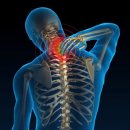 바디체인지 짐 이미지