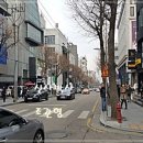 가로수길 - 홍천군 연봉로 43 | 가로수길