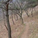 엄사약국 이미지