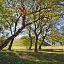 흥덕왕릉 화장실 이미지