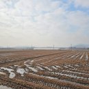 진흥2농장 이미지