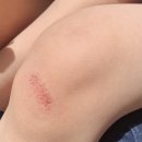 예성약국 이미지