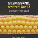 큐어엔 | 테트라큐어 붓톡 식물성 브로멜라인 붓기관리 내돈내산 솔직 후기