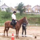 유덕목장 이미지