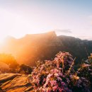 미로속으로 떠나는 역사 여행 이미지