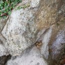 동피랑길 이미지