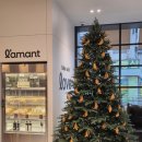 스토리 오브 라망 | 퇴근길에 항상 궁금했던 스토리오브라망 성수점 방문 후기