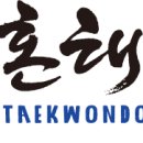 팀태권도 이미지