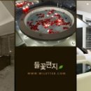 강릉힐링타임펜션 이미지