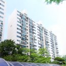 목동중앙로(서측) 이미지