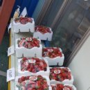 진혁농장 이미지