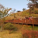 녹색화원 이미지