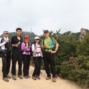 과천청사역 2번 출구 뒤 Daum카페