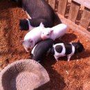 배다골민속박물관 이미지