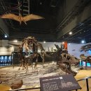 (주)티렉스 | 티렉스 스코티