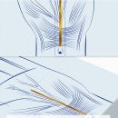 thingsdesign