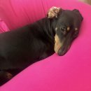 동래구청 | [부산/동래구] 가성비 좋은 동래구청 앞 한식뷔페 뷔페다정 솔직후기