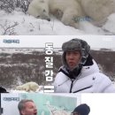 북극곰의즐겨찾기 이미지