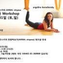 3월 일산에버요가 반중력요가(Aerial yoga) 워크샵 이미지